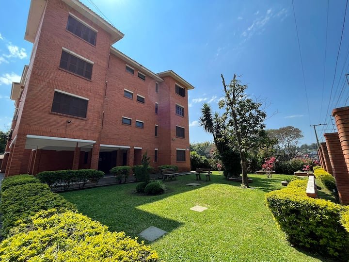 Apartamento - Aluguel - Fatima - Cachoeira do Sul - RS